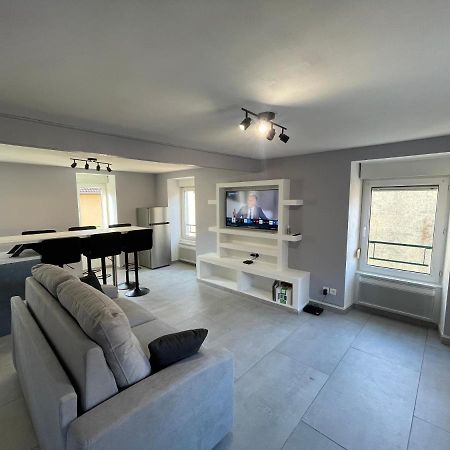 Appartement Familiale Premium : Proche Gare De Belfort Ngoại thất bức ảnh